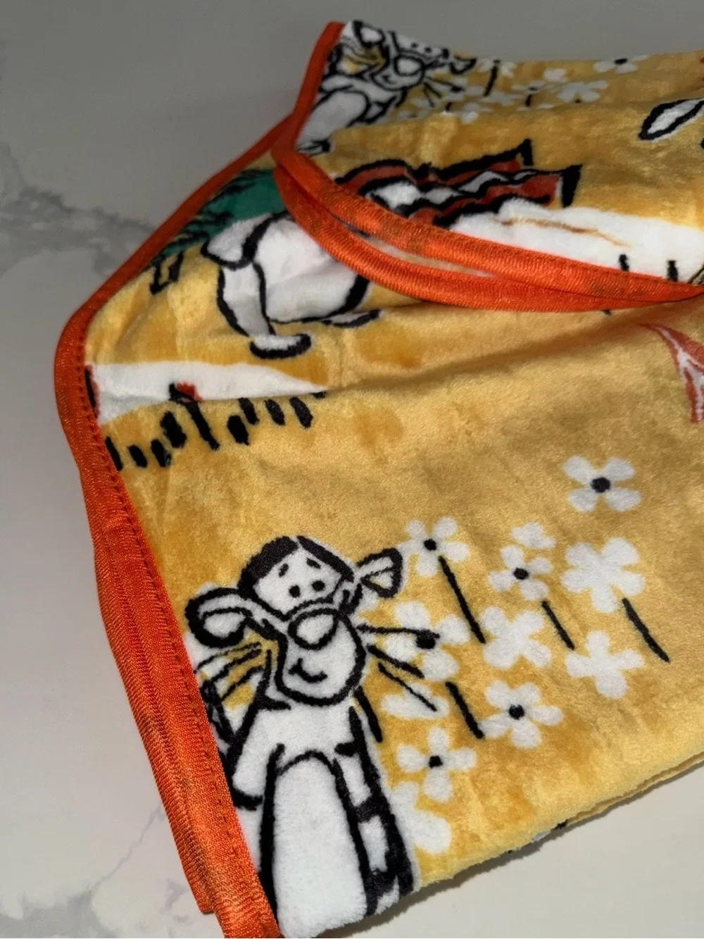 Disney Winnie the Pooh & Friends Plush Baby/Kids Blanket